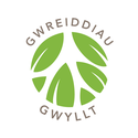 Gwreiddiau Gwyllt